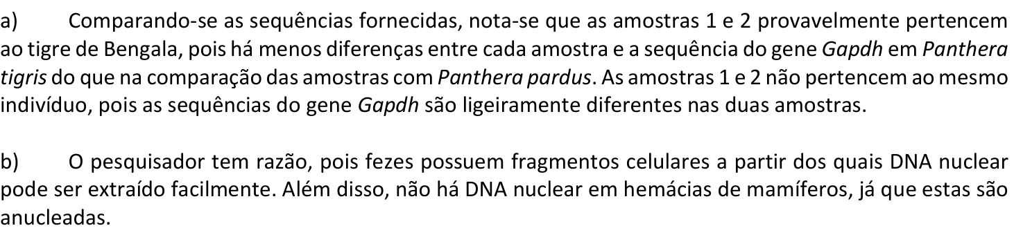Resposta esperada no documento da Comvest