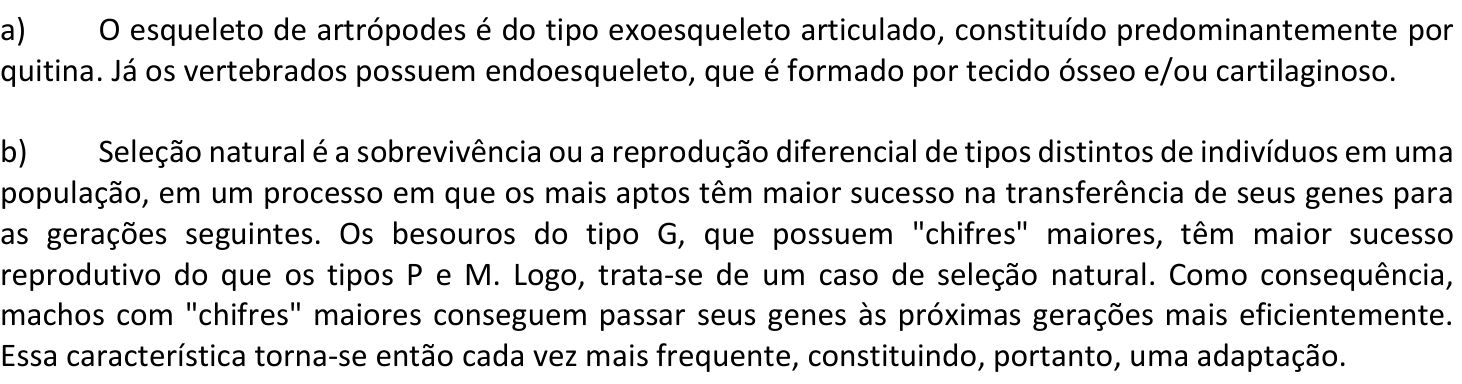 Resposta esperada no documento da Comvest