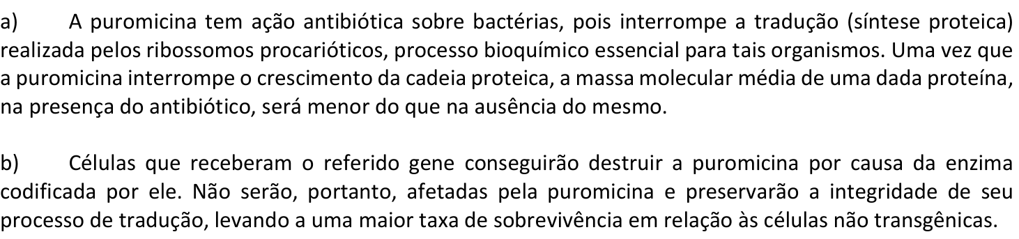 Resposta esperada no documento da Comvest