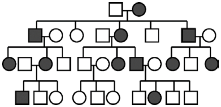 Heredograma de quatro gerações representando indivíduos doentes (em preto) e não doentes (em branco)