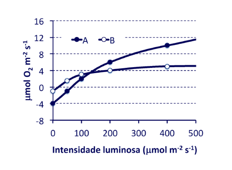 Gráfico de trocas gasosas () em função da intensidade luminosa () para as espécies A e B.