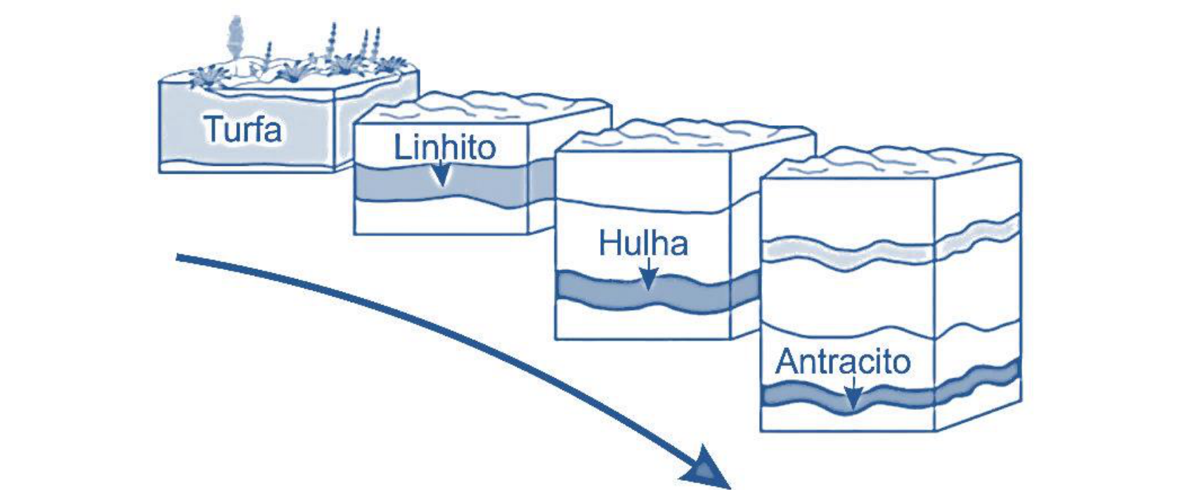Esquema das etapas de formação do carvão mineral mostrando quatro blocos que representam profundidades e idades crescentes ao longo de uma seta azul voltada para baixo: no primeiro, na superfície com vegetação, "Turfa"; no segundo, levemente soterrado, "Linhito"; no terceiro, mais profundo, "Hulha"; e no quarto, o mais profundo e com camadas onduladas, "Antracito".