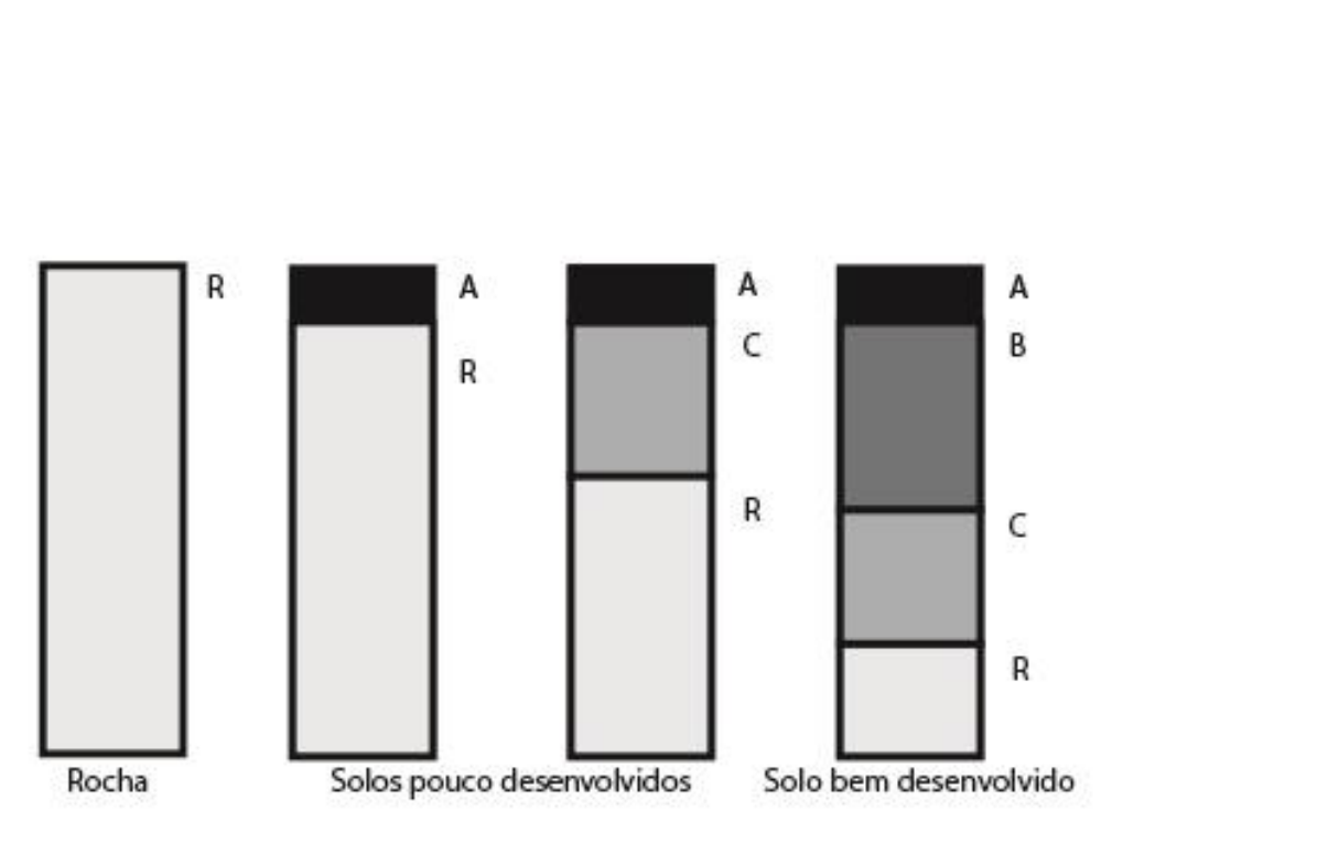 Sequência evolutiva de perfis de solo em quatro estágios: "Rocha" (apenas horizonte R), "Solos pouco desenvolvidos" (um perfil com horizontes A e R, e outro com horizontes A, C e R) e "Solo bem desenvolvido" (com horizontes A, B, C e R, do topo à base).