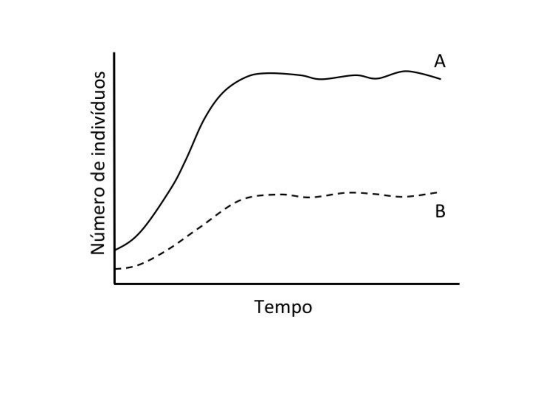 Gráfico de curvas de crescimento populacional com o eixo vertical indicando o Número de indivíduos e o eixo horizontal o Tempo. A espécie A é representada por uma curva contínua em um nível populacional superior, e a espécie B por uma curva tracejada em nível populacional inferior.