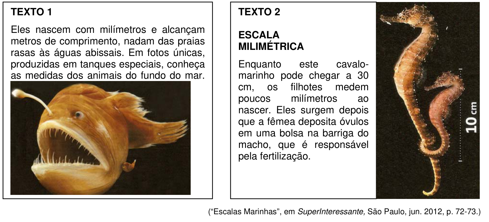 Dois quadros: o Quadro 1 intitulado "TEXTO 1", com texto sobre animais marinhos e a foto de um peixe abissal com bioluminescência; o Quadro 2 intitulado "TEXTO 2", com o subtítulo "ESCALA MILIMÉTRICA", texto sobre cavalo-marinho e uma foto de dois cavalos-marinhos com uma barra vertical indicando uma escala de 10 cm.