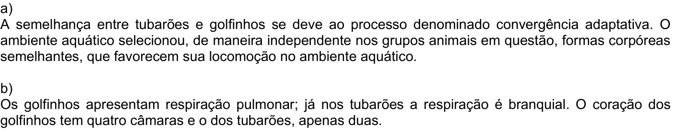 Resposta esperada no documento da Comvest
