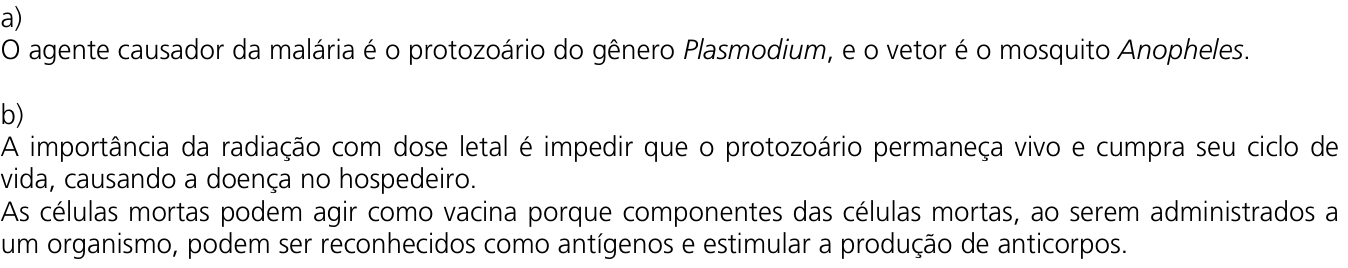 Resposta esperada no documento da Comvest