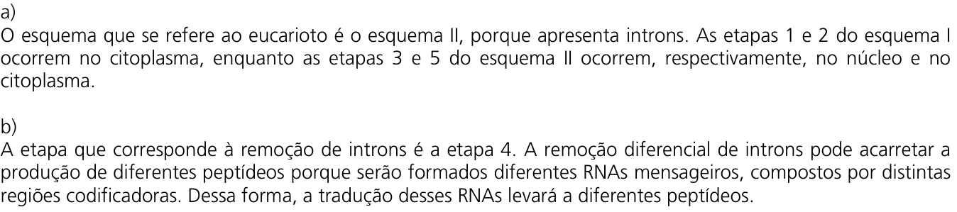 Resposta esperada no documento da Comvest