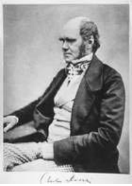 Retrato em preto e branco de Charles Darwin sentado, visto de meio corpo, com sua assinatura na parte inferior.