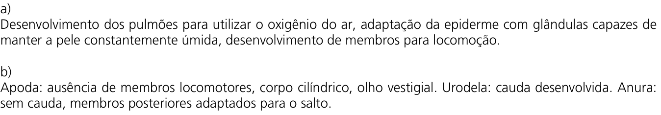 Resposta esperada no documento da Comvest