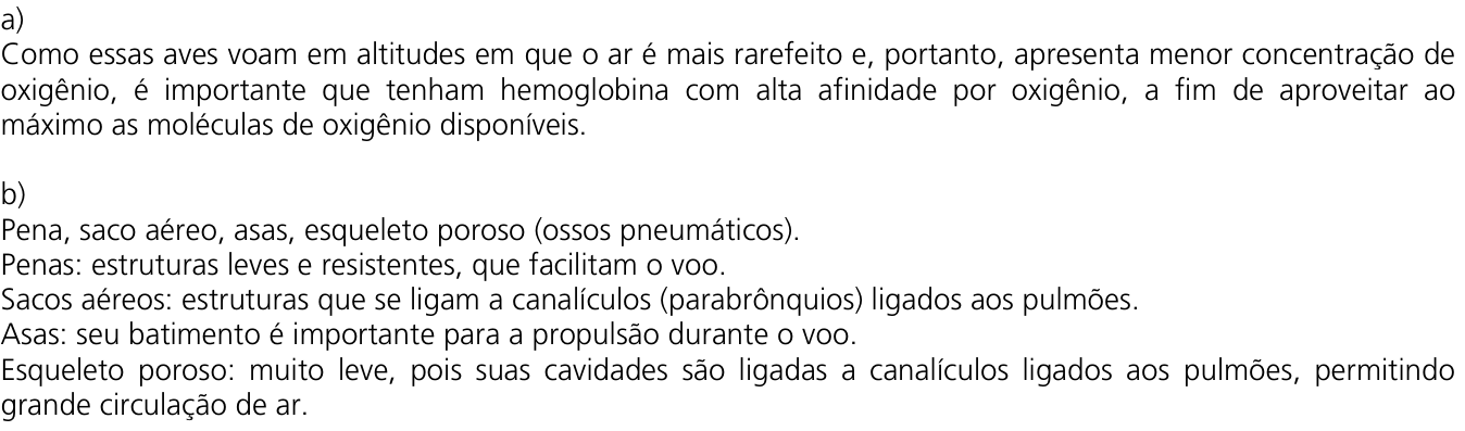 Resposta esperada no documento da Comvest