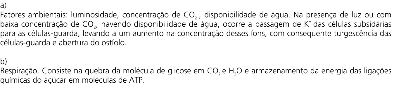 Resposta esperada no documento da Comvest