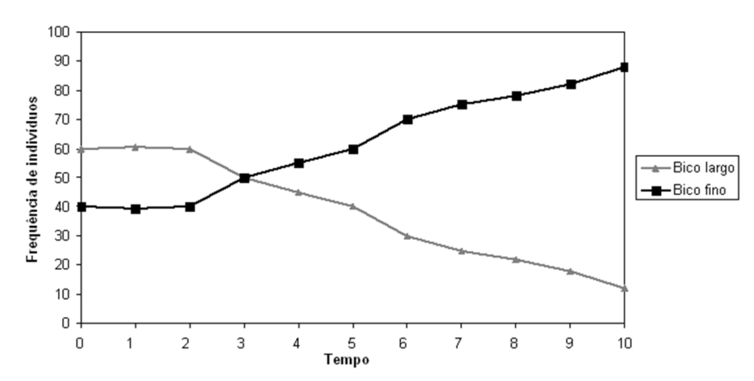 Gráfico de linhas mostrando a "Frequência de indivíduos" no eixo vertical (de 0 a 100) em função do "Tempo" no eixo horizontal (de 0 a 10). O fenótipo "Bico largo" (linha cinza com triângulos) inicia em 60 nos tempos 0 a 2, cruza com o outro fenótipo em 50 no tempo 3 e decresce até aproximadamente 12 no tempo 10. O fenótipo "Bico fino" (linha preta com quadrados) inicia em 40 nos tempos 0 a 2, atinge 50 no tempo 3 e sobe gradativamente até cerca de 88 no tempo 10.