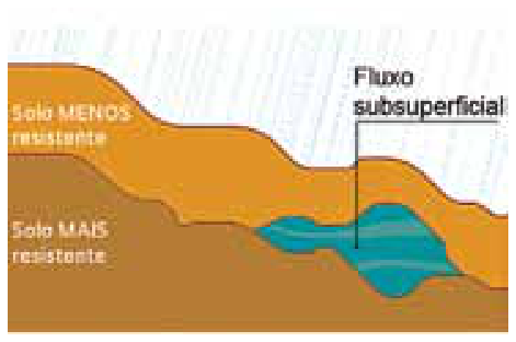 F1 Perfil esquemático da infiltração da água da chuva em camada de solo menos resistente sobre solo mais resistente, com indicação do fluxo subsuperficial.