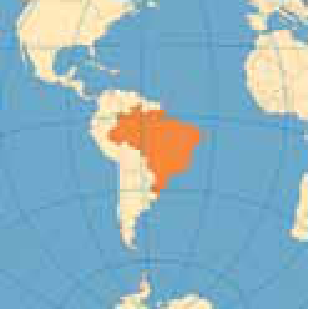 Mapa com projeção cartográfica apresentando paralelos em arcos concêntricos e meridianos retos concorrentes, com o Brasil destacado em laranja