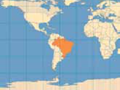 Mapa-múndi na projeção cilíndrica de Mercator com paralelos e meridianos retos que se cruzam perpendicularmente, com o Brasil destacado em laranja