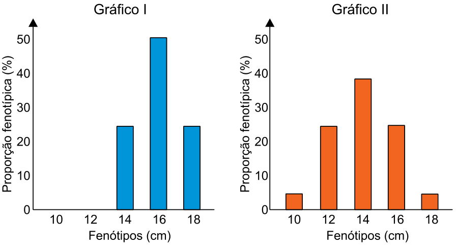 Dois gráficos de colunas intitulados "Gráfico I" e "Gráfico II". O eixo vertical de ambos representa a "Proporção fenotípica (%)" com escala de 0 a 50, e o eixo horizontal representa os "Fenótipos (cm)" com valores 10, 12, 14, 16 e 18. No Gráfico I, com colunas azuis, há barras nas medidas 14 cm (25%), 16 cm (50%) e 18 cm (25%). No Gráfico II, com colunas laranjas, há barras em 10 cm (~6%), 12 cm (25%), 14 cm (~38%), 16 cm (25%) e 18 cm (~6%).