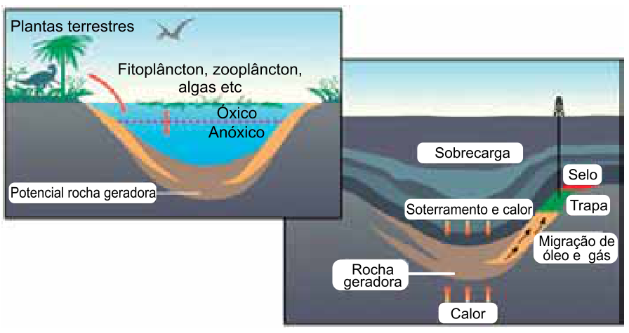 Esquema ilustrativo da evolução do sistema petrolífero em duas etapas: à esquerda, acúmulo de matéria orgânica (plantas terrestres, fitoplâncton, zooplâncton, algas) em ambiente aquático com zonas óxica e anóxica, formando a potencial rocha geradora; à direita, processo de soterramento e calor sob camadas de sobrecarga geológica, gerando a rocha geradora e a migração de óleo e gás para uma estrutura com trapa e selo sob exploração.