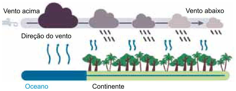 Esquema ilustrando o ciclo da água com a presença de Florestas Tropicais, mostrando a evaporação no oceano à esquerda, o transporte dos ventos para o continente à direita, as chuvas e a evapotranspiração contínua sobre a floresta.