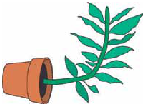 Ilustração de um vaso tombado na posição horizontal, de onde sai o caule de uma planta com folhas que se curva para cima, crescendo verticalmente.