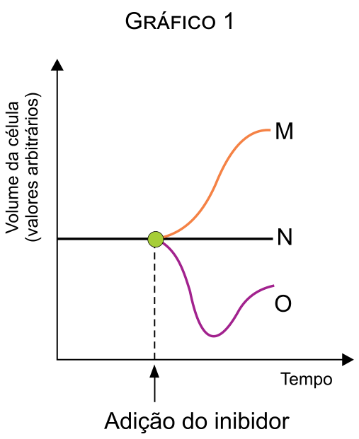 Gráfico 1: Volume da célula em função do tempo, mostrando uma linha inicialmente constante até a adição do inibidor, de onde partem as curvas M (crescente), N (constante) e O (decrescente e depois oscilante)