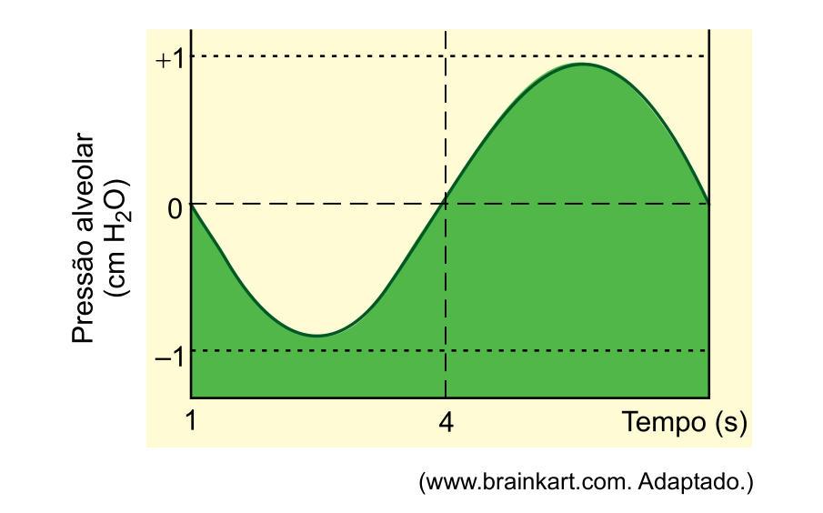 F1 Gráfico da pressão alveolar (em cm de H₂O) em função do tempo (em segundos), apresentando uma oscilação senoidal preenchida em verde entre -1 e +1 cm de H₂O, cruzando o zero no instante t = 4 s.