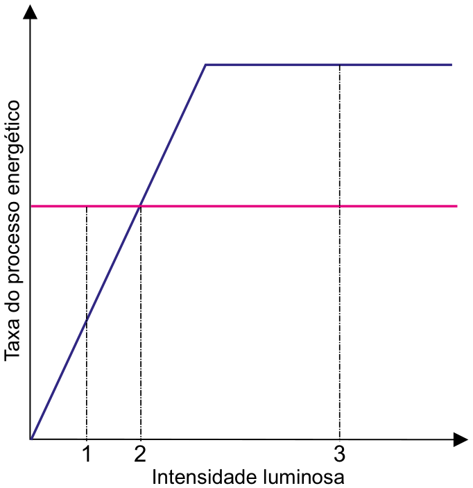 Gráfico com eixo vertical “Taxa do processo energético” e eixo horizontal “Intensidade luminosa”. Uma linha rosa horizontal representa uma taxa constante. Uma linha azul parte da origem, cresce linearmente, cruza a linha rosa na intensidade 2 e atinge um patamar acima dela. As intensidades 1, 2 e 3 estão assinaladas no eixo horizontal, com linhas verticais tracejadas: em 1, a taxa azul está abaixo da rosa; em 2, as taxas são iguais; em 3, a taxa azul está no patamar acima da rosa.