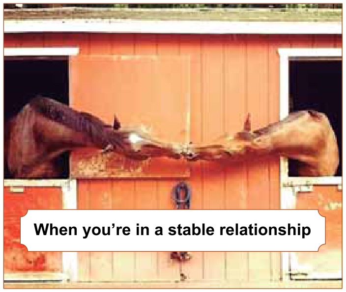 Meme mostrando dois cavalos em baias vizinhas de um estábulo de madeira com portas vermelhas, esticando os pescoços para encostar as cabeças no centro, acompanhado da legenda: "When you're in a stable relationship"