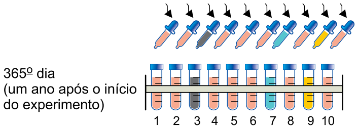 Esquema representando a transferência no 365º dia (um ano após o início do experimento), em que a maioria dos 10 tubos permanece na cor alaranjada original, mas os tubos 3 (cinza), 7 (azul) e 9 (amarelo) apresentam colorações distintas.