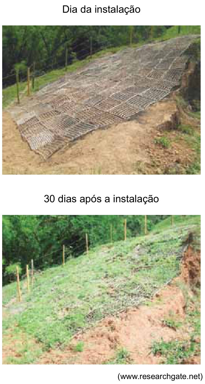Duas fotografias comparativas de uma encosta inclinada: a superior, identificada como "Dia da instalação", mostra o solo com telas de geotêxteis quadriculadas dispostas sobre o terreno inclinado; a inferior, intitulada "30 dias após a instalação", mostra a mesma encosta coberta por vegetação verde que brotou através das telas.