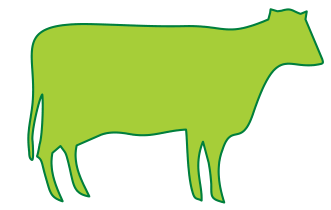 Silhueta de uma vaca em verde-claro