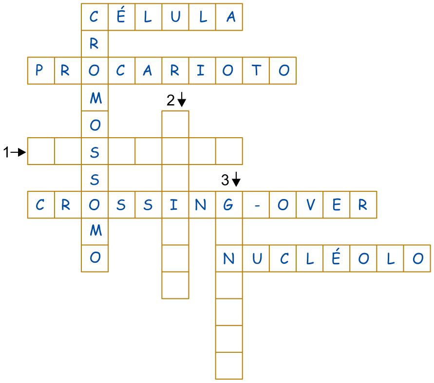 Diagrama de palavras cruzadas contendo palavras já preenchidas como CÉLULA, PROCARIOTO, CROMOSSOMO, CROSSING-OVER e NUCLÉOLO, com posições indicadas por 1, 2 e 3 a serem preenchidas.