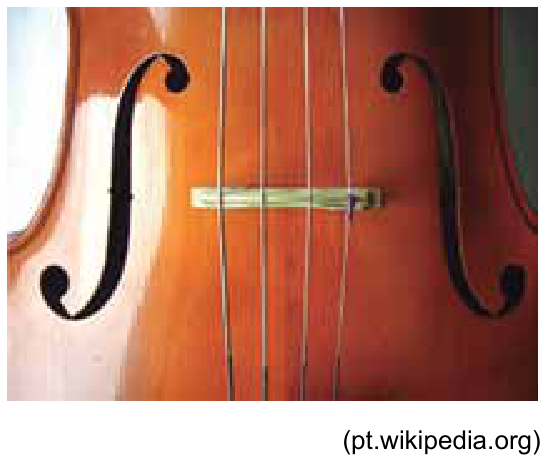 Detalhes das quatro cordas e do cavalete de um violoncelo.
