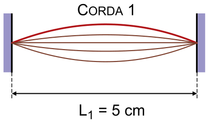 Esquema da Corda 1 oscilando no modo fundamental entre dois suportes verticais, com indicação do comprimento L1 = 5 cm.