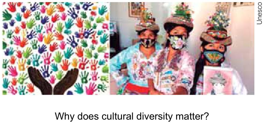 Composição com duas imagens: à esquerda, ilustração com duas mãos na base das quais brotam inúmeras marcas de mãos em diversas cores; à direita, fotografia de três pessoas vestindo trajes tradicionais floridos, máscaras faciais estampadas e chapéus adornados com flores. Na margem direita, na vertical, lê-se "Unesco". Abaixo das imagens, lê-se o título: "Why does cultural diversity matter?".