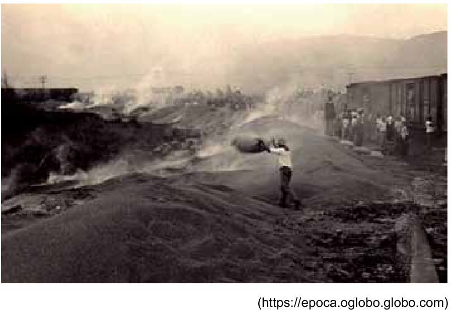 F1 Fotografia em preto e branco mostrando pilhas de sacas de café sendo queimadas ao ar livre, liberando fumaça. Ao centro, um homem despeja café com uma pá sobre a pilha; à direita, há vagões de trem estacionados e um grupo de pessoas observando.