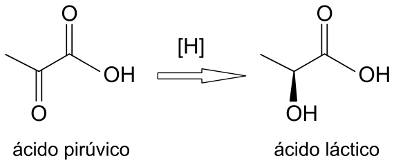 Esquema da reação química mostrando a conversão de ácido pirúvico em ácido láctico na presença de [H]