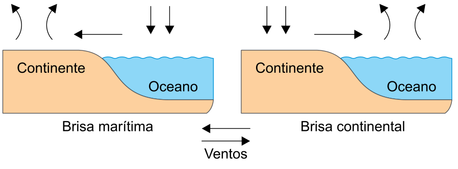 F1 Esquemas ilustrando a dinâmica da brisa marítima e da brisa continental. À esquerda, na brisa marítima, o ar ascende sobre o continente e descende sobre o oceano, com o vento em superfície soprando do oceano para o continente. À direita, na brisa continental, o ar descende sobre o continente e ascende sobre o oceano, com o vento soprando do continente em direção ao oceano. Abaixo dos esquemas, duas setas opostas indicam a direção dos "Ventos".