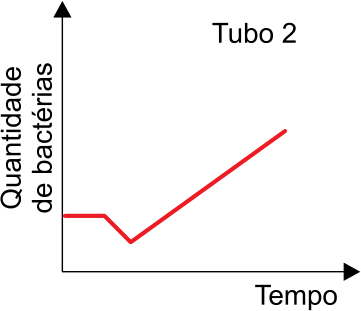 F10 Gráfico do Tubo 2 com quantidade de bactérias em função do tempo, com patamar inicial, queda e aumento linear
