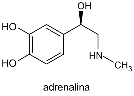 Fórmula estrutural da adrenalina