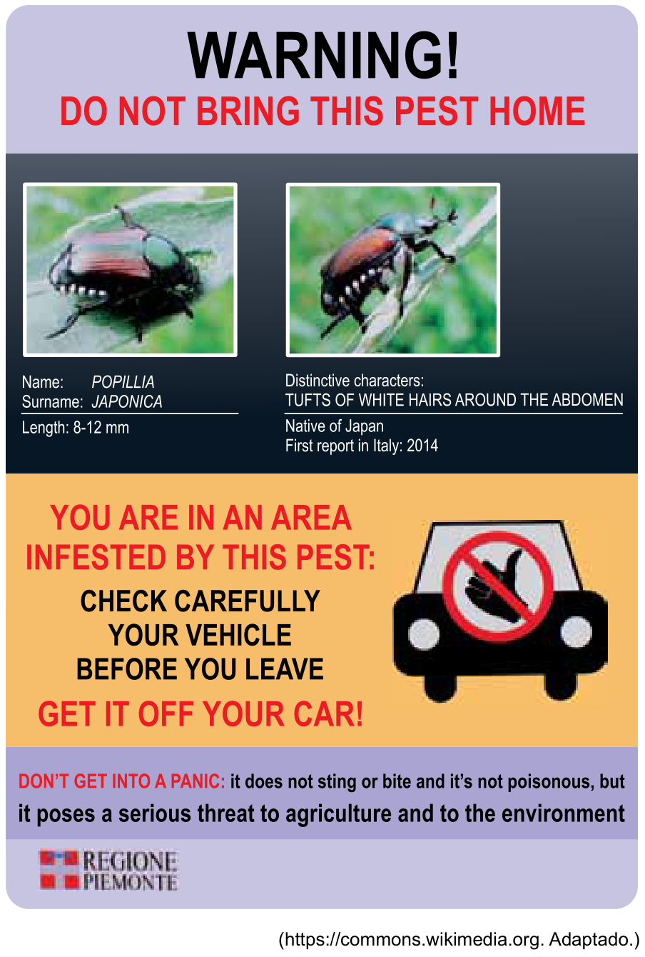 Cartaz informativo da Regione Piemonte com o aviso "WARNING! DO NOT BRING THIS PEST HOME", fotos e características do besouro Popillia japonica, alerta para vistoriar veículos antes de sair da área infestada e esclarecimento de que a praga não pica nem é venenosa, mas representa ameaça à agricultura e ao meio ambiente.