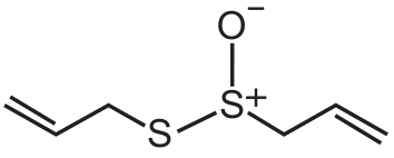 Estrutura química da alicina: dois grupos alila ligados a um átomo de enxofre, um deles por meio de outro átomo de enxofre; o enxofre central apresenta carga positiva e está ligado a um oxigênio de carga negativa.