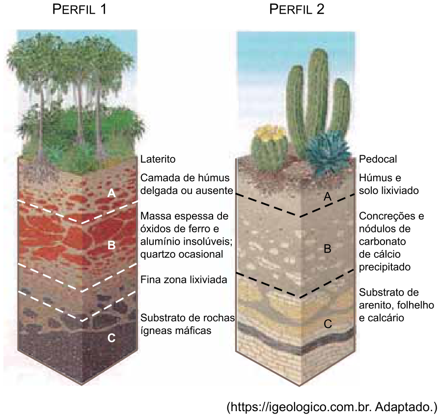 Blocos-diagrama de dois perfis de solo: Perfil 1 (Laterito), sob vegetação arbórea densa, com horizontes A, B e C espessos, ricos em óxidos de ferro e alumínio e sobre rochas ígneas máficas; Perfil 2 (Pedocal), sob vegetação árida com cactáceas, horizontes menos desenvolvidos com concreções de carbonato de cálcio precipitado e sobre rochas sedimentares.