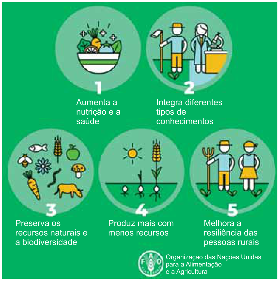 Infográfico da FAO com fundo verde contendo cinco círculos ilustrados e numerados: 1 - Aumenta a nutrição e a saúde; 2 - Integra diferentes tipos de conhecimentos; 3 - Preserva os recursos naturais e a biodiversidade; 4 - Produz mais com menos recursos; 5 - Melhora a resiliência das pessoas rurais. No canto inferior direito, o logo da Organização das Nações Unidas para a Alimentação e a Agricultura.