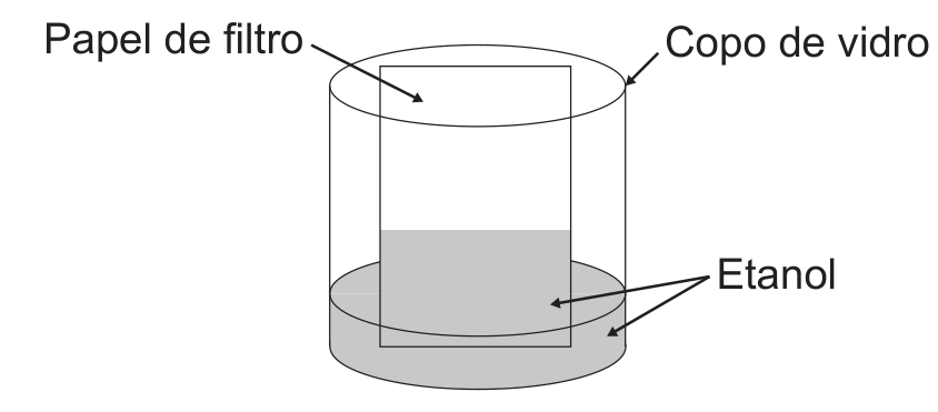 Esquema do experimento mostrando um copo de vidro com etanol no fundo e uma tira retangular de papel de filtro em pé dentro dele, com o nível do líquido no papel subindo acima da superfície do etanol no copo.