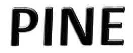 Logomarca oficial tridimensional com as letras PINE