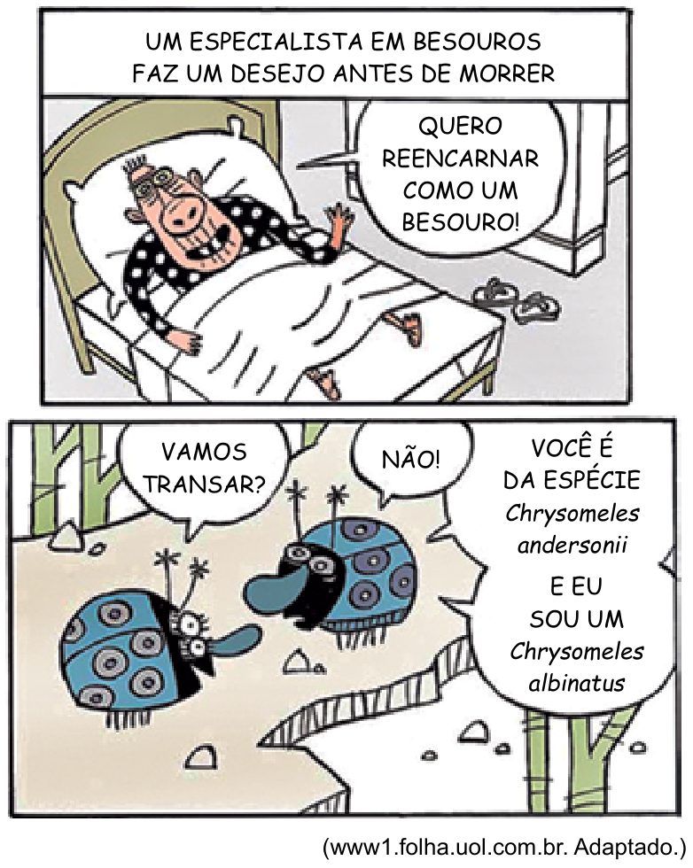 Tirinha de dois quadros de Fernando Gonsalez. No primeiro quadro, com a legenda "UM ESPECIALISTA EM BESOUROS FAZ UM DESEJO ANTES DE MORRER", um homem em uma cama de hospital diz: "QUERO REENCARNAR COMO UM BESOURO!". No segundo quadro, dois besouros azuis conversam no chão; um diz: "VAMOS TRANSAR?", e o outro responde: "NÃO! VOCÊ É DA ESPÉCIE Chrysomeles andersonii E EU SOU UM Chrysomeles albinatus".