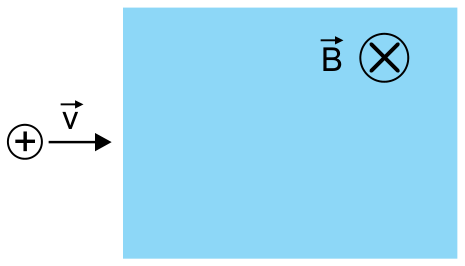 Partícula com carga positiva movendo-se para a direita com vetor velocidade v em direção a uma região retangular onde há um campo magnético B uniforme orientado para dentro da folha (símbolo de X circunscrito).