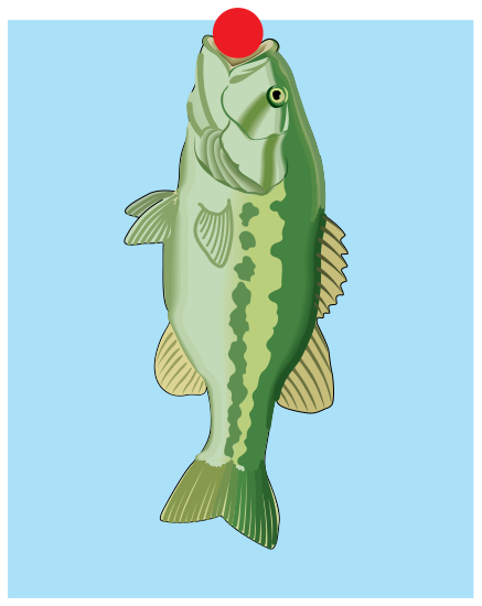 Ilustração de um peixe verde nadando verticalmente para cima e mordendo uma fruta vermelha esférica que flutua na superfície da água.