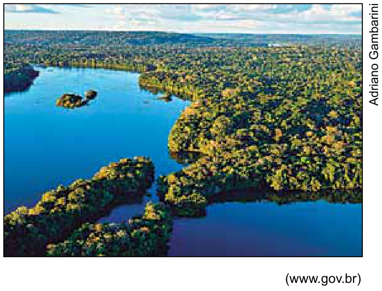 Vista aérea da Floresta Amazônica entrecortada por cursos d'água